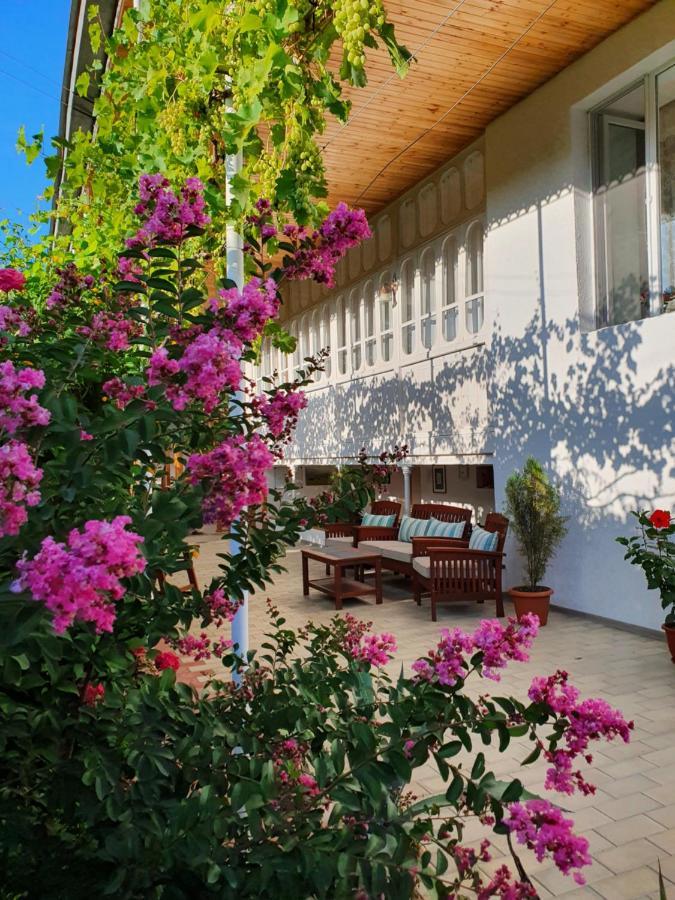Nazy'S Guest House Joqolo Exterior foto